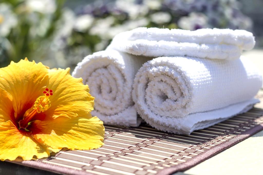 Sarah Johnson wellness transformation success story